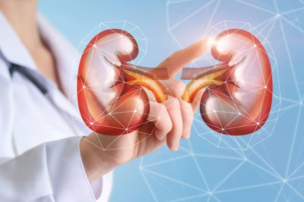 Kidney damage : अगर आपको दिख रहे हैं ये संकेत तो न करें नजरअंदाज, हो सकती है गंभीर बीमारी